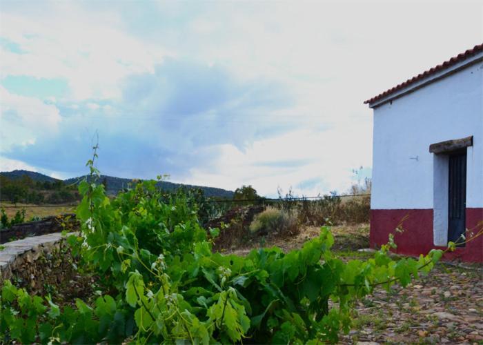 Casa Rural El Abuelo Alonso La Codosera Екстер'єр фото